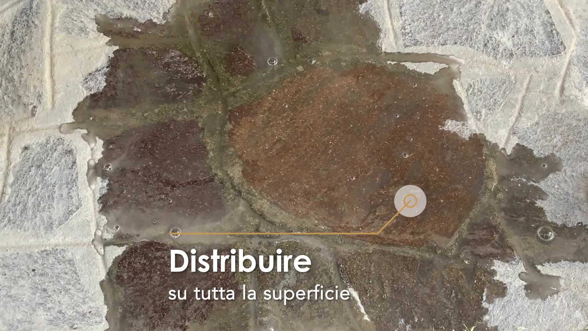 geal_serviceacido_primadopo2