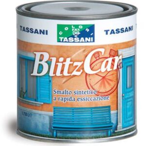 BLITZ CAR RAPIDA ESSICAZIONE