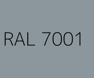RAL 7001 GRIGIO ARGENTO