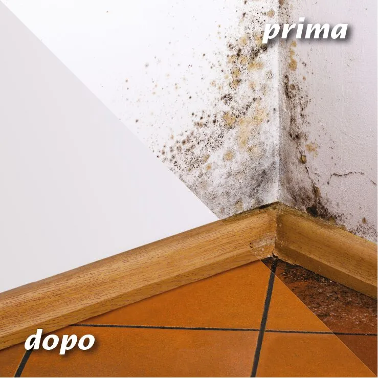 geal_muffaut_primadopo