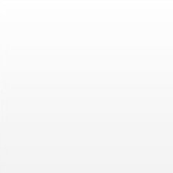 RAL TRASPARNTE LUCIDO