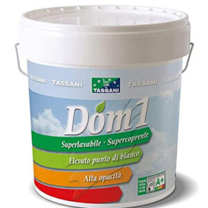 DOM 1 IDROPITTURA TASSANI