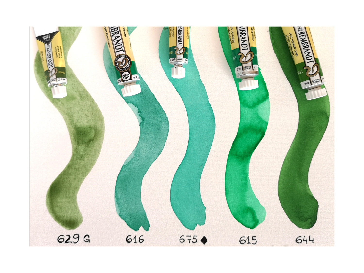 Rembrandt Acquerelli